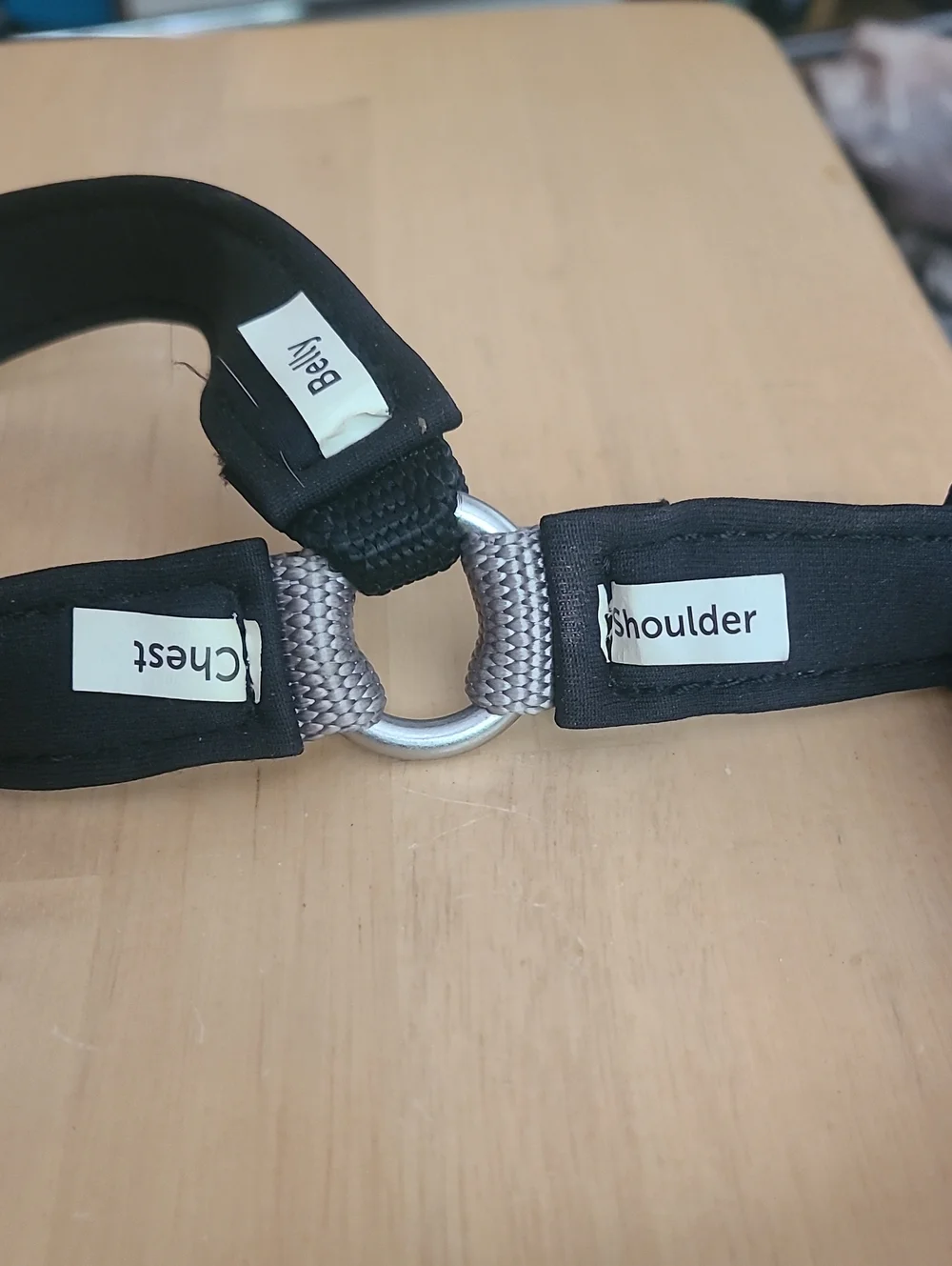 PetSafe Gray and Black No-Pull Padded Dog Harness